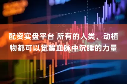 配资实盘平台 所有的人类、动植物都可以觉醒血脉中沉睡的力量